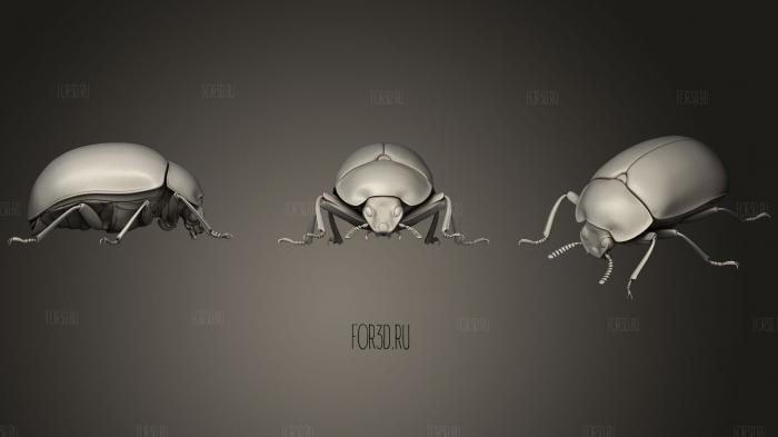 Insect beetles 6 stl model for CNC